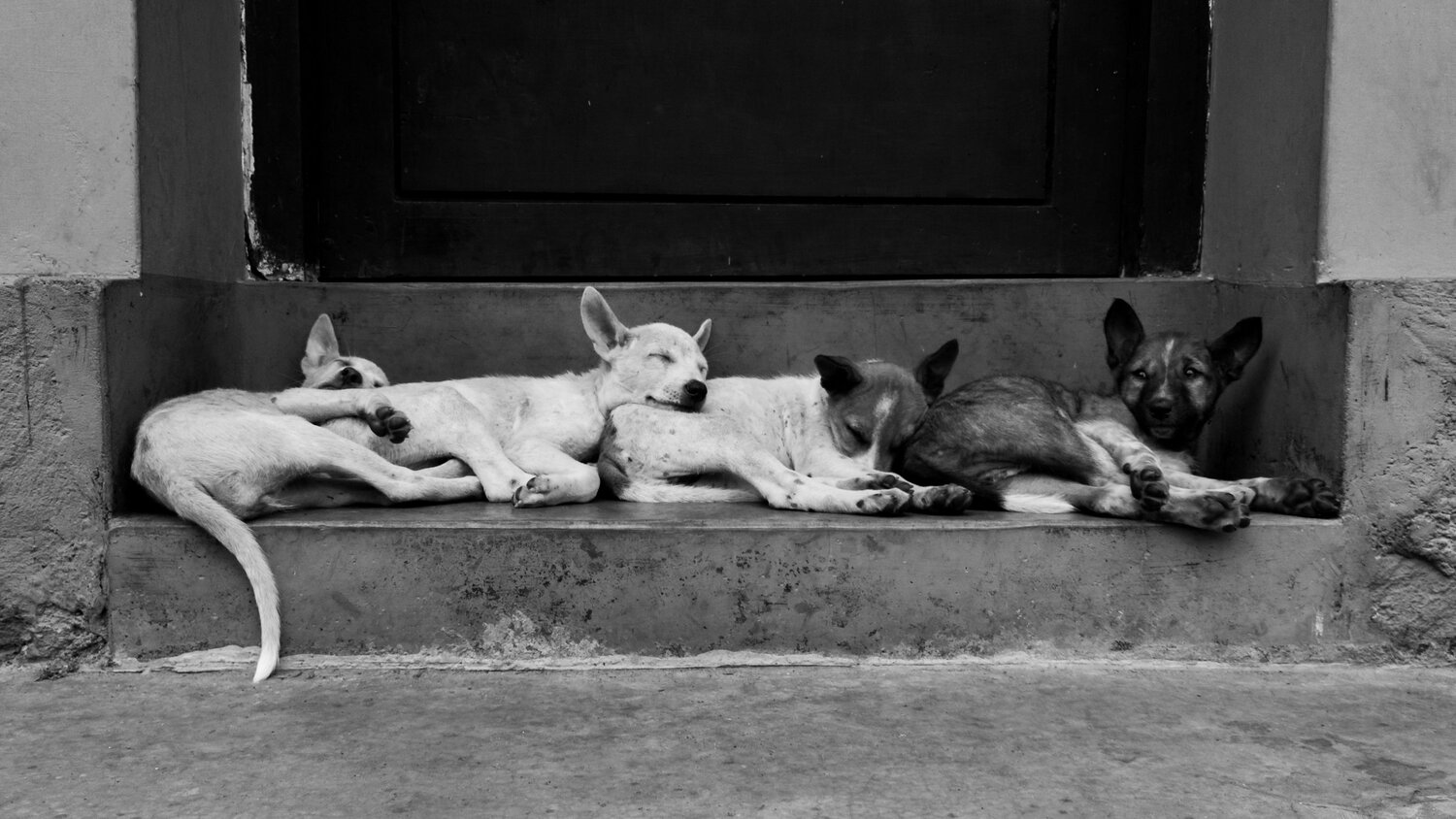 A LITTLE TIME TOGETHER WITH MATES