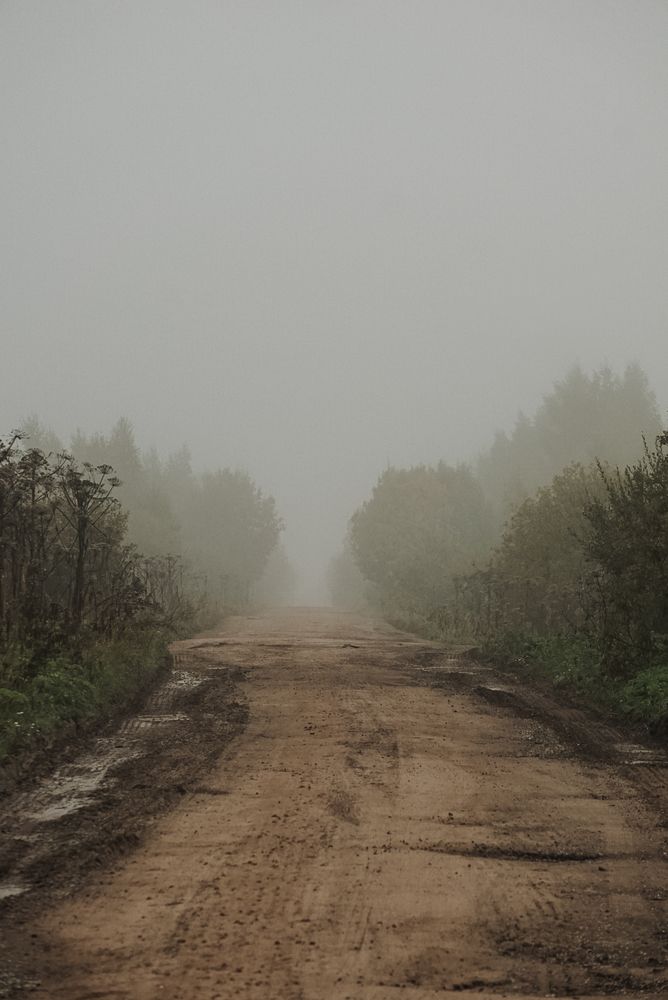 Photograph by T.Ю. Гринько