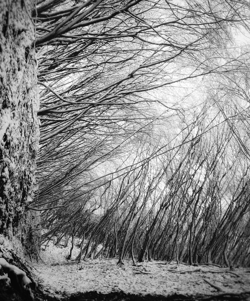 Photograph by Иван Локманов