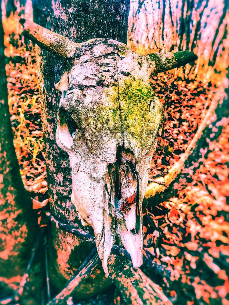 Photograph by Иван Локманов