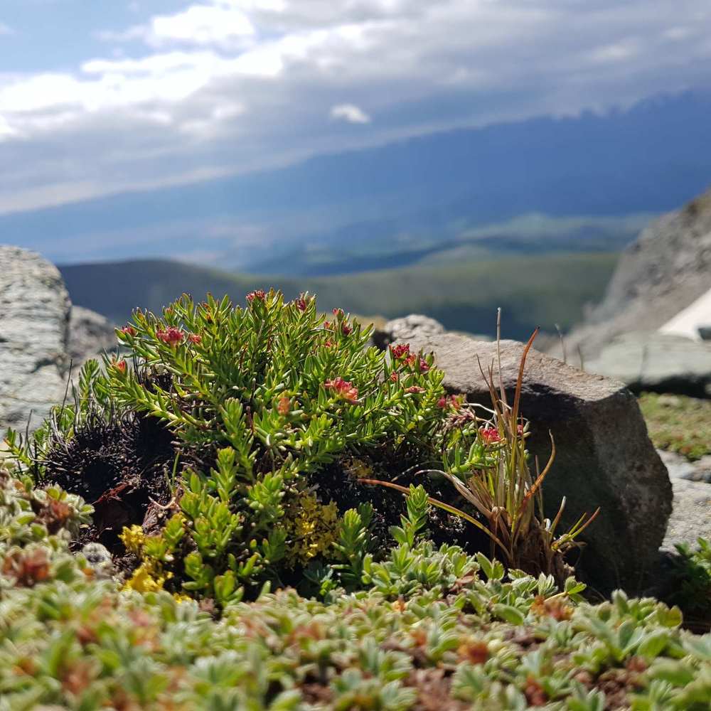 Photograph by Ольга Кротова