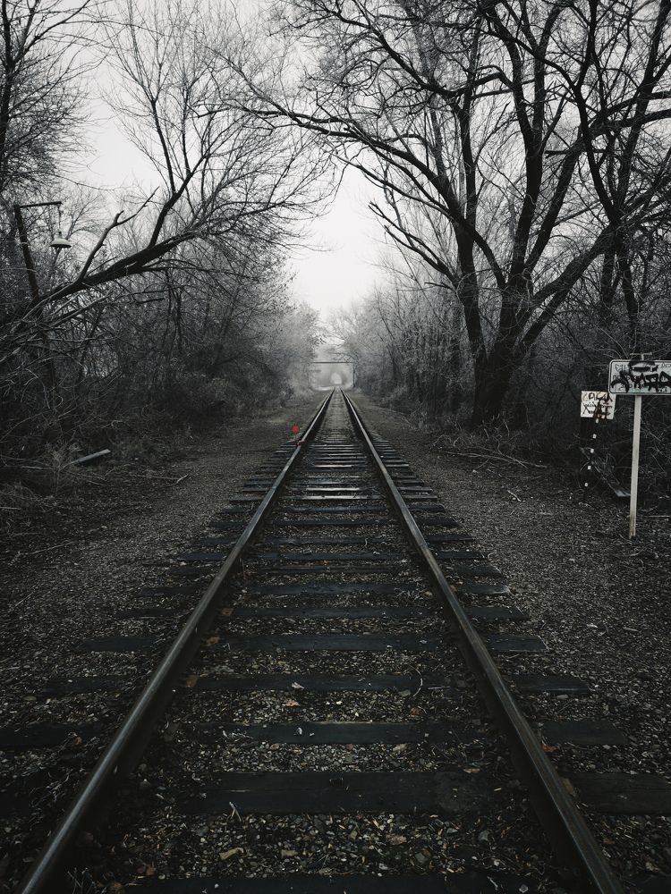 Photograph by Алексей Гуминский