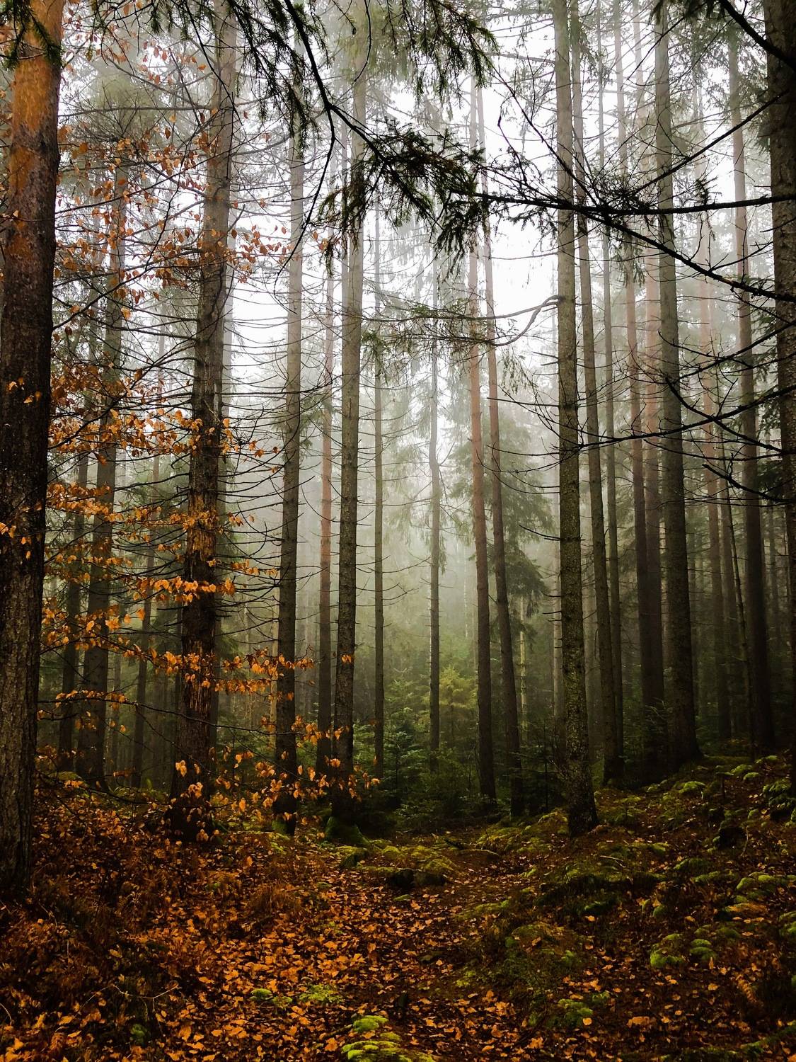 Photo #6757199