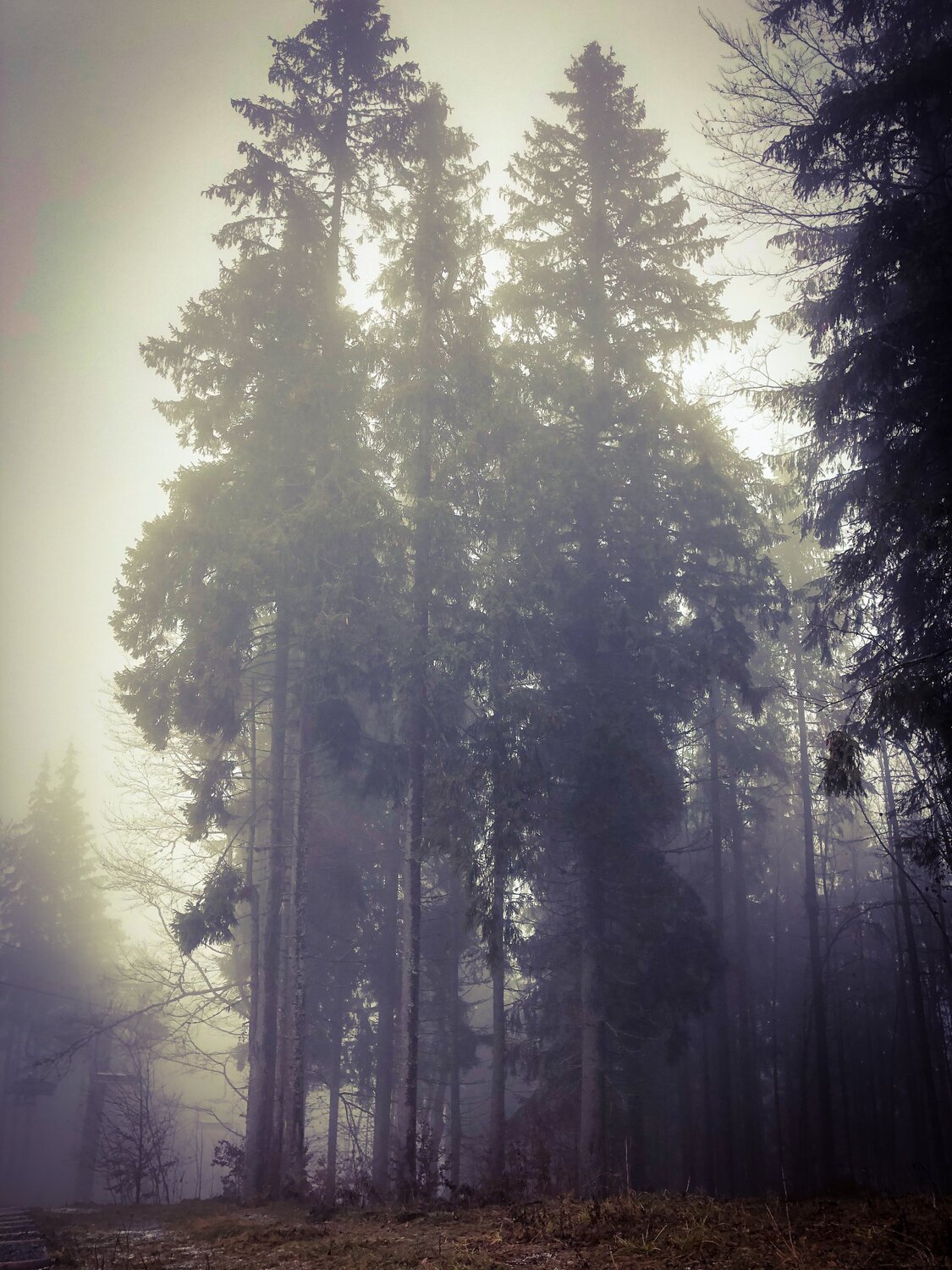 Photo #6757200