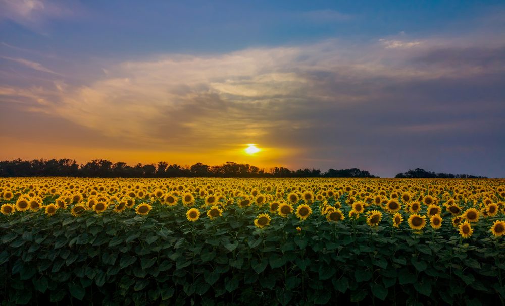 Photograph by Алексей Гуминский