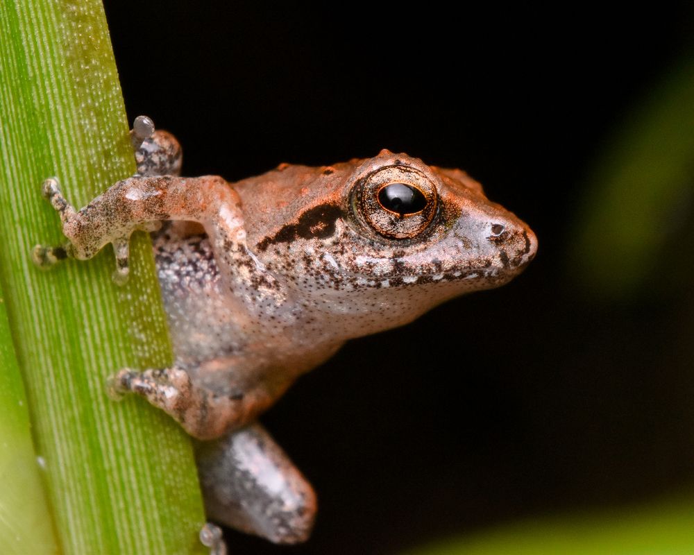 Photograph by Parvathy