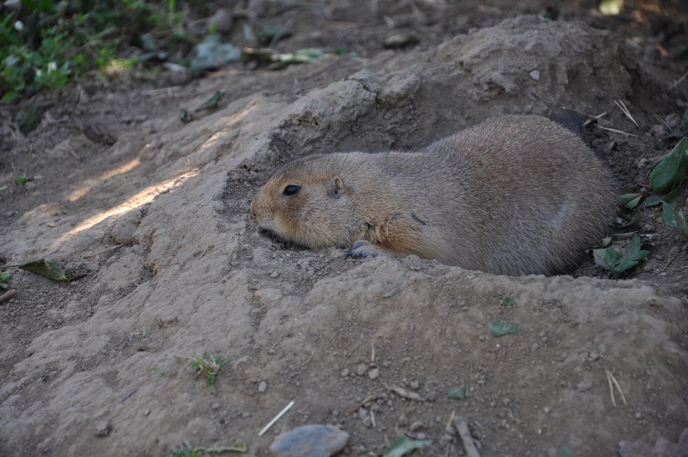 Photograph by Галина Лысых
