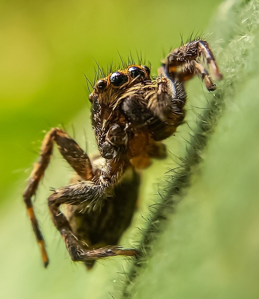 Photograph by Abhiram TS