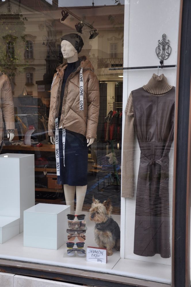 Photograph by Галина Лысых