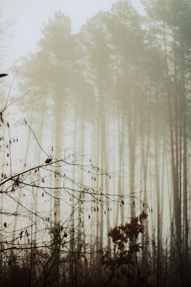 Photograph by Александр Казак