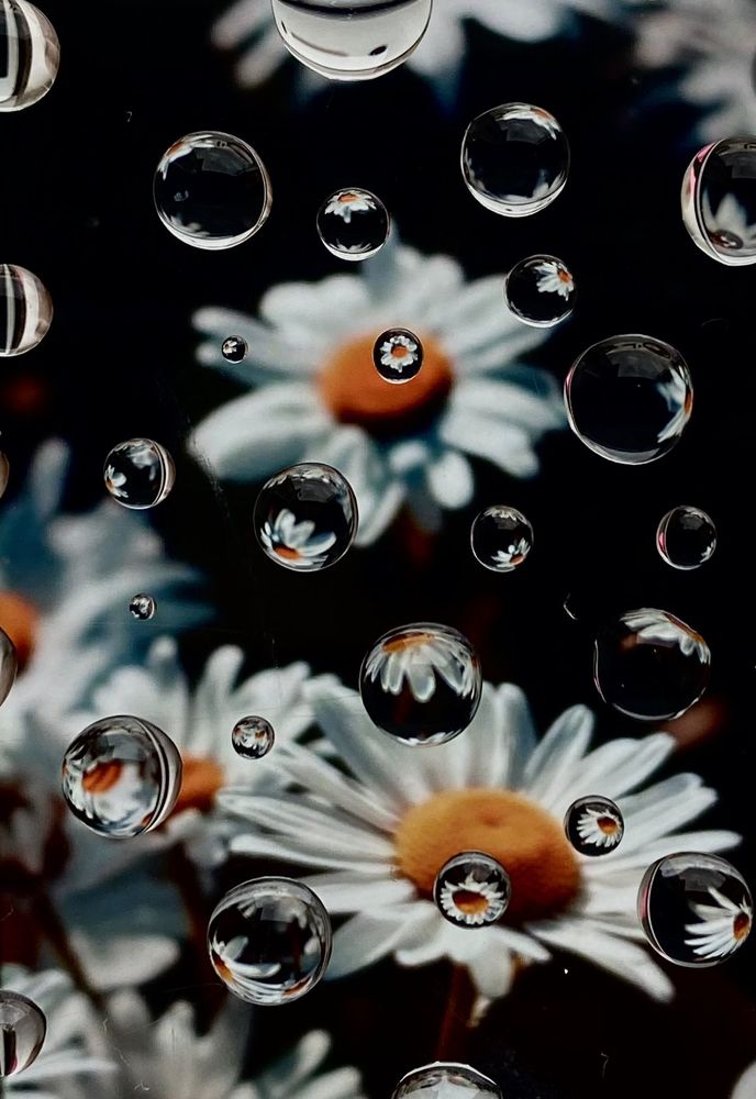 Photograph by Диана