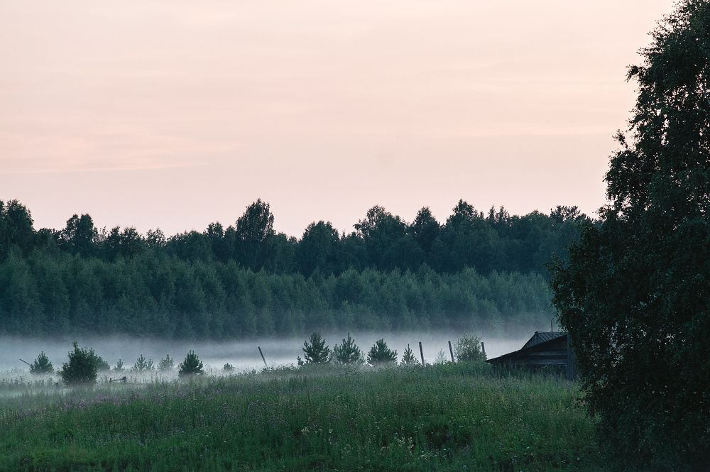 Photograph by Елена Сухарева