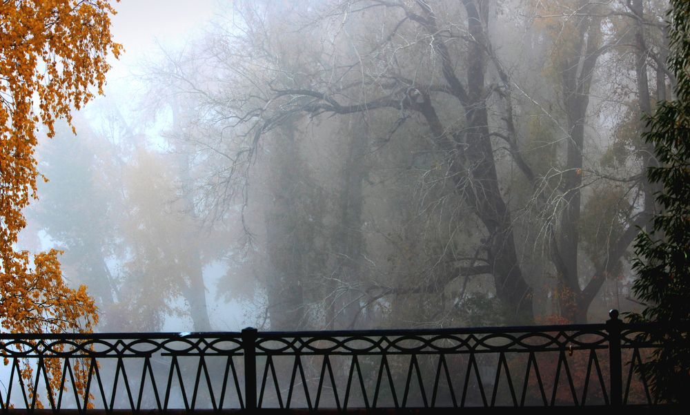 Photograph by Зоя Быкова