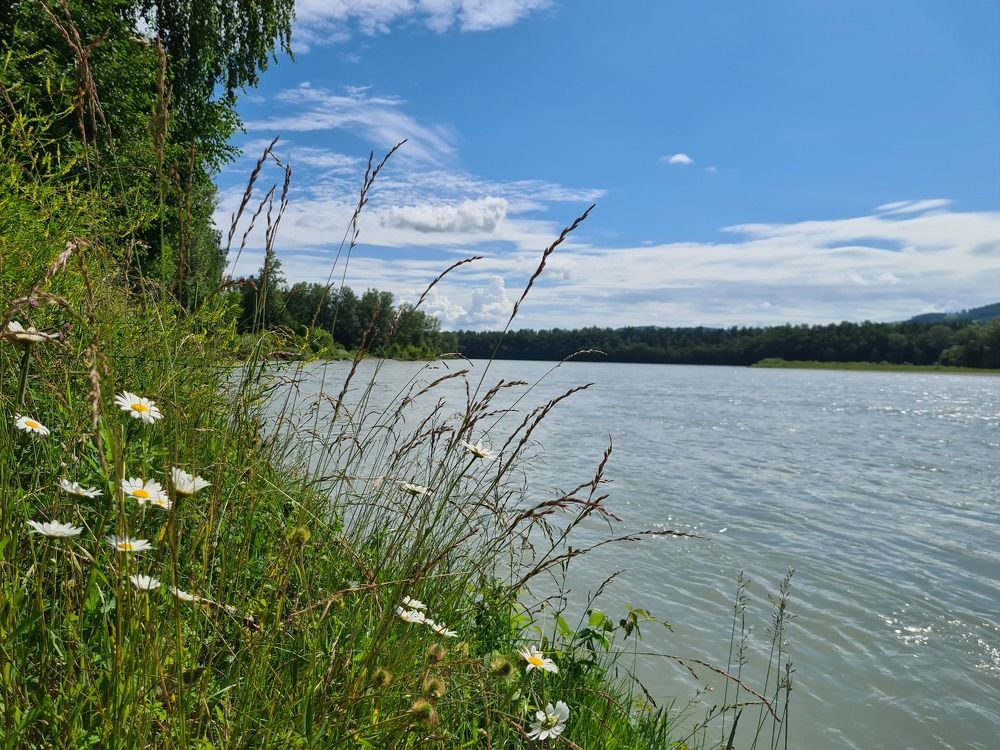 Photograph by Ольга Кротова