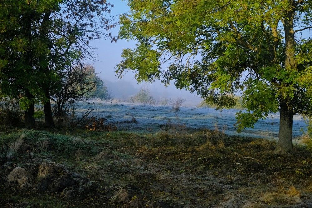 Photograph by Лена Силайчева