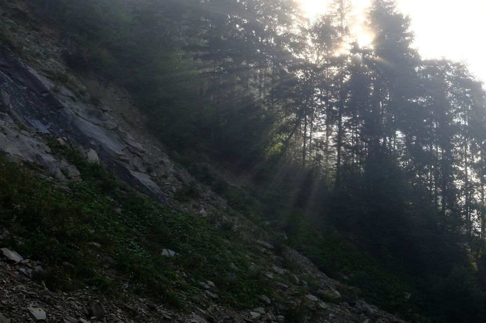 Photograph by Лена Силайчева