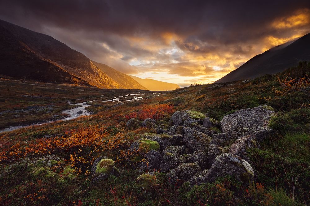 Photograph by Kaiser Sozo