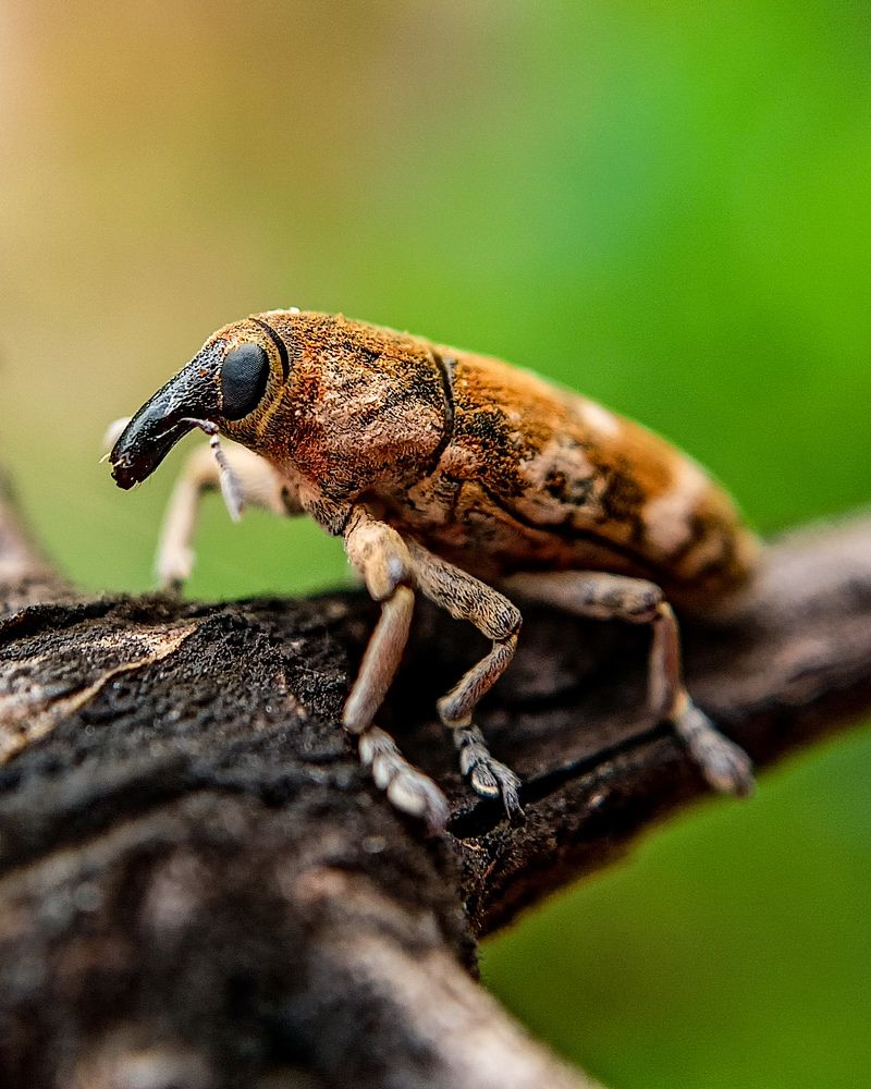 Photograph by Rohan B S