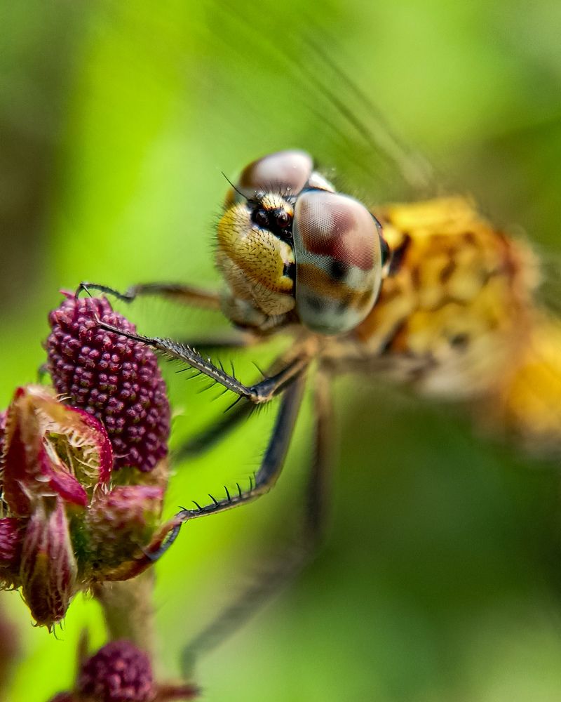 Photograph by Rohan B S