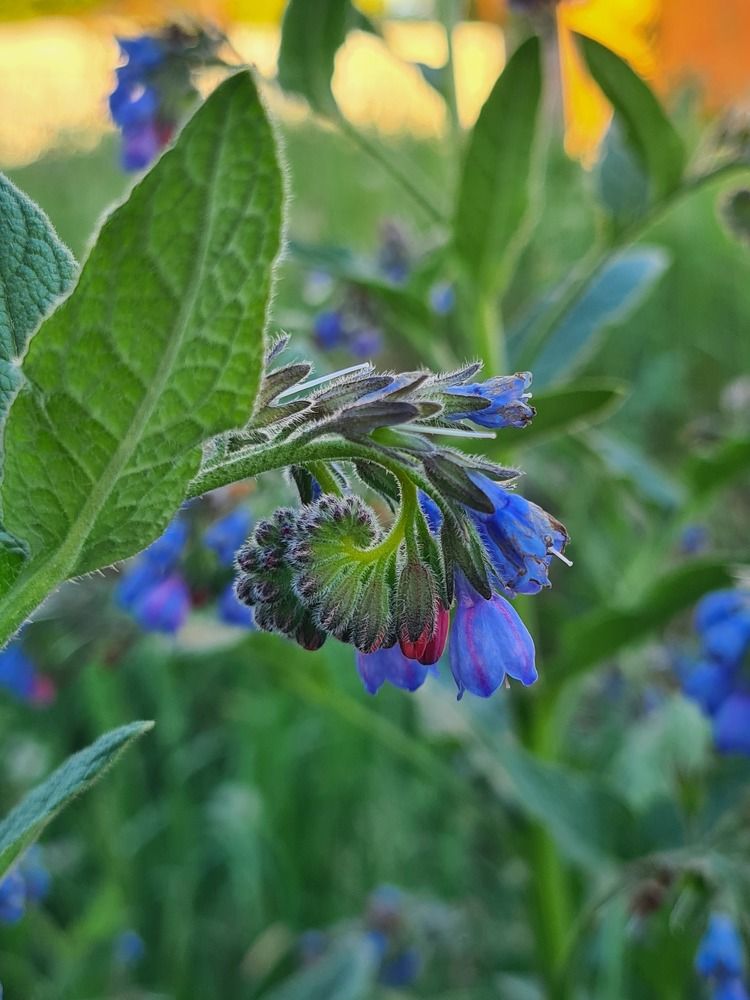 Photograph by Ольга Кротова