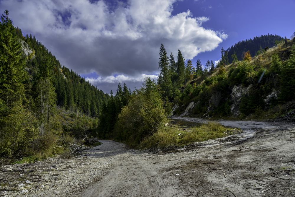 Фотография автора Iulian Vieru