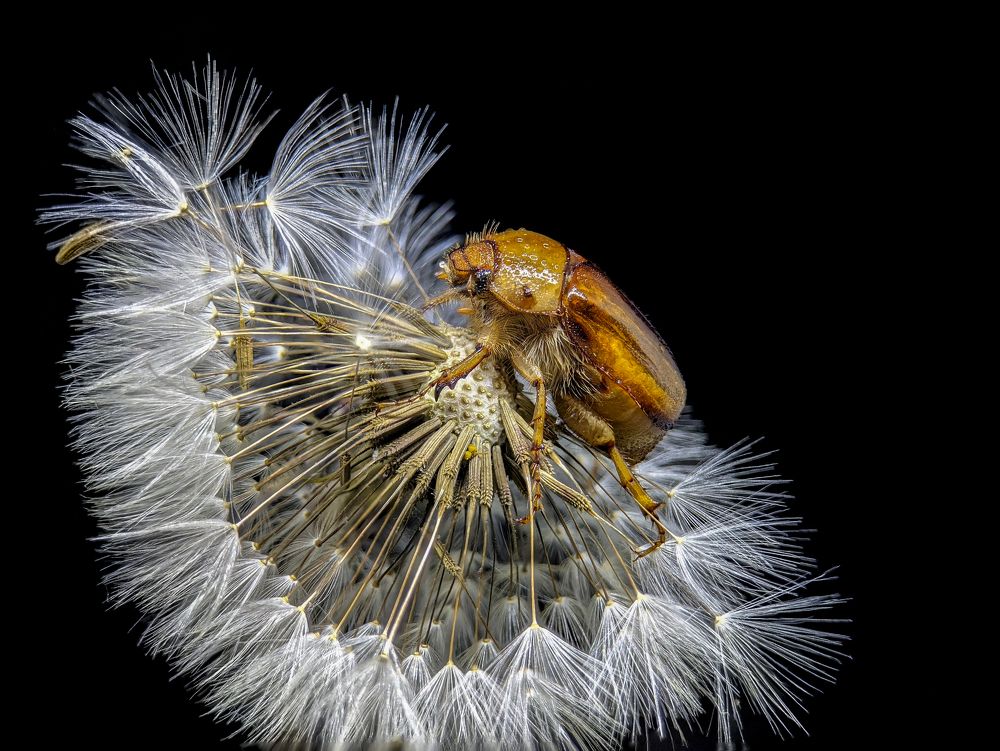 Photograph by R***n P***y