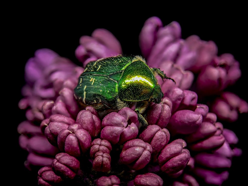 Photograph by R***n P***y