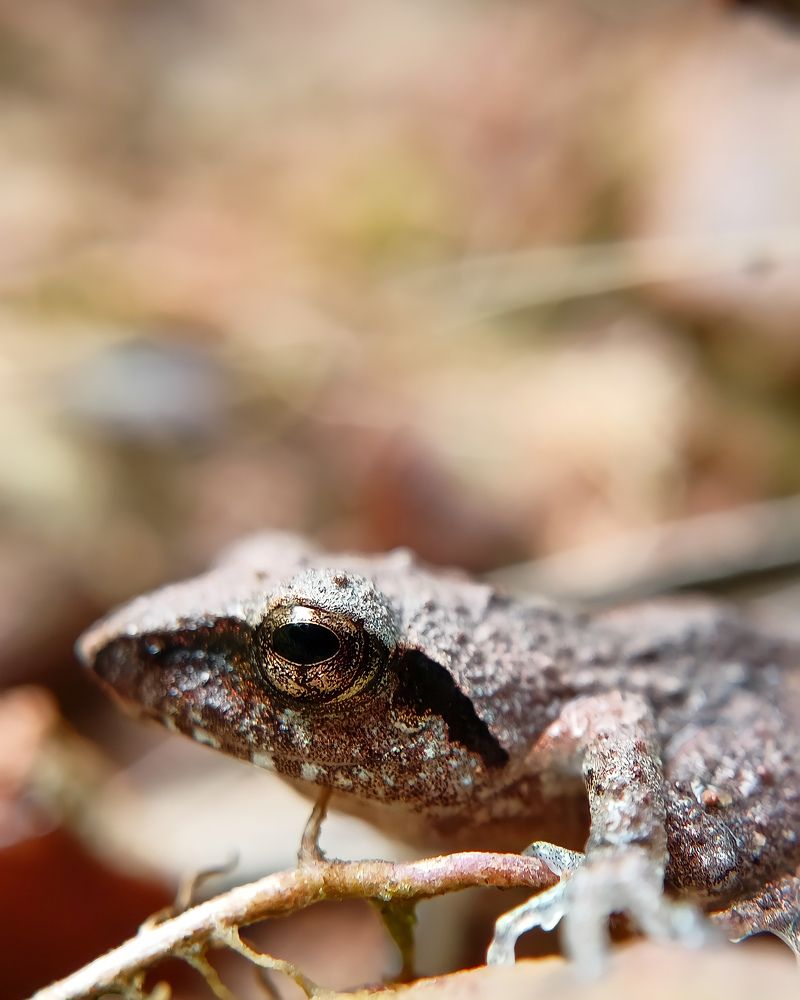 Photograph by Rohan B S