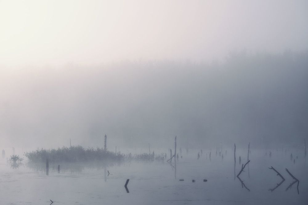 Photograph by Юлия Лушникова