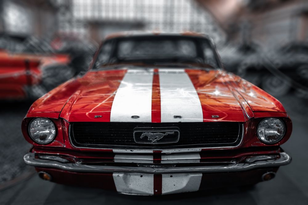 Photograph by Александр Шандов