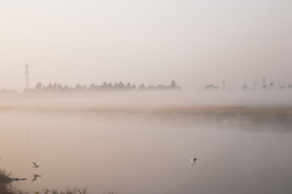 Photograph by Partho Kundu