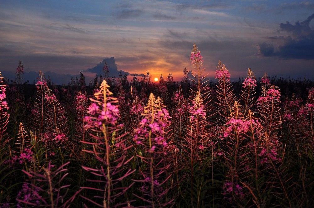 Photograph by Юрий Яковлев