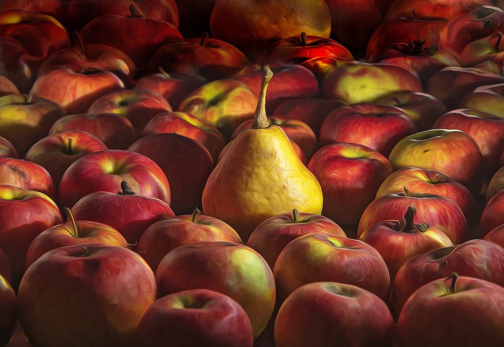 Photograph by Margarita