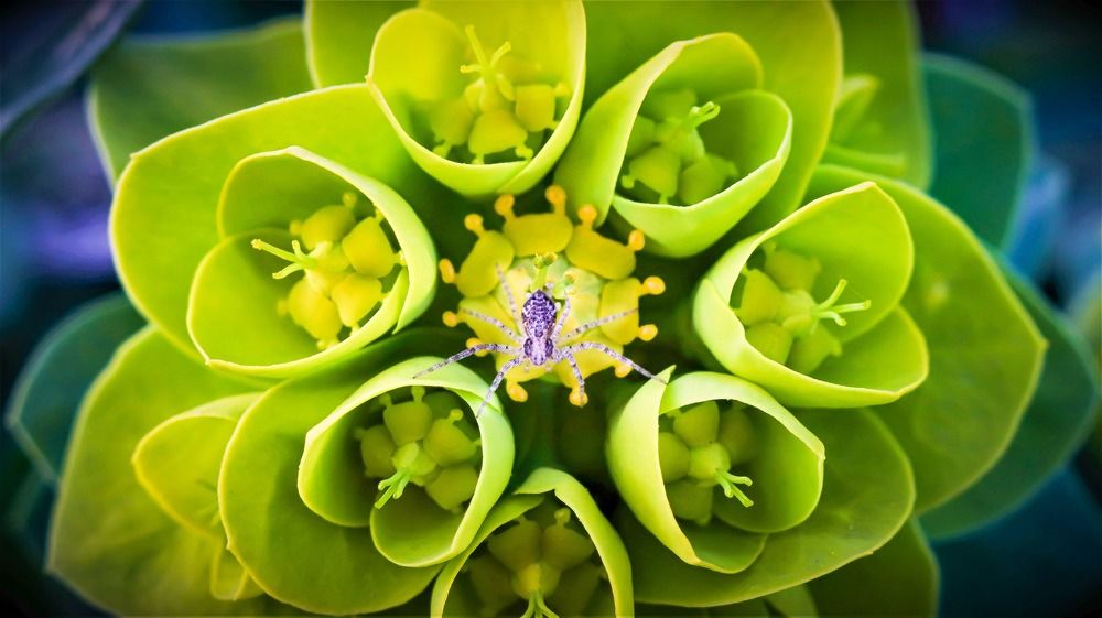 Photograph by Maksim Zhdanovich