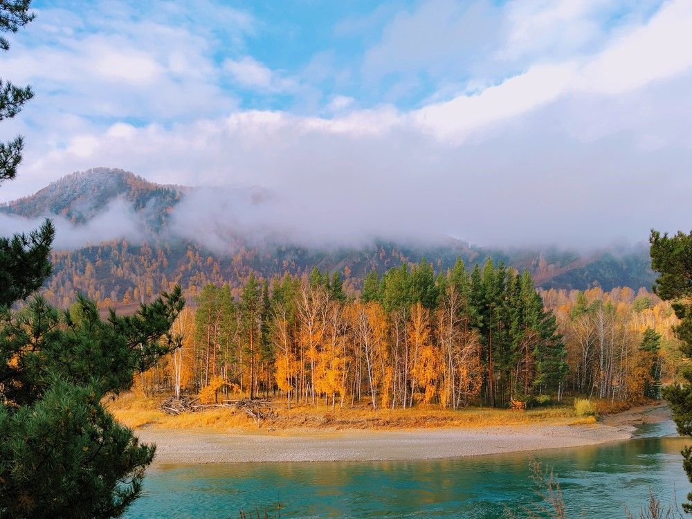 Photograph by Дмитрий Кузнецов