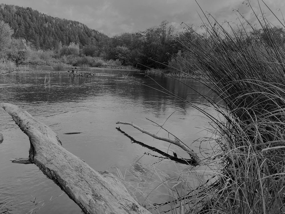 Photograph by Халуторных Мария