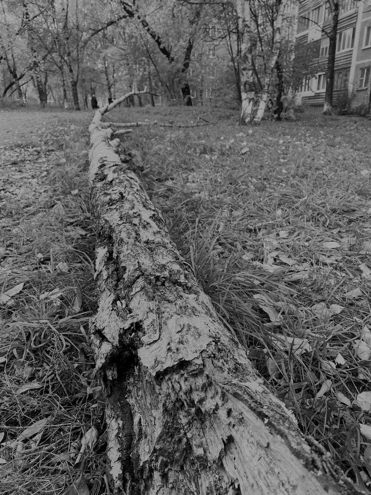 Photograph by Халуторных Мария