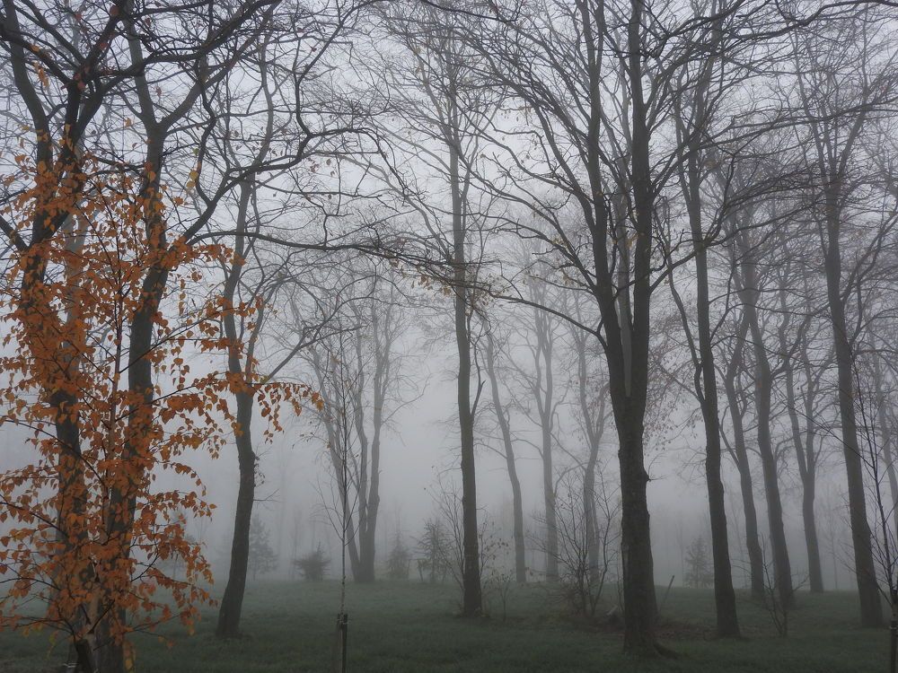 Фотография автора Юлия Овчинникова