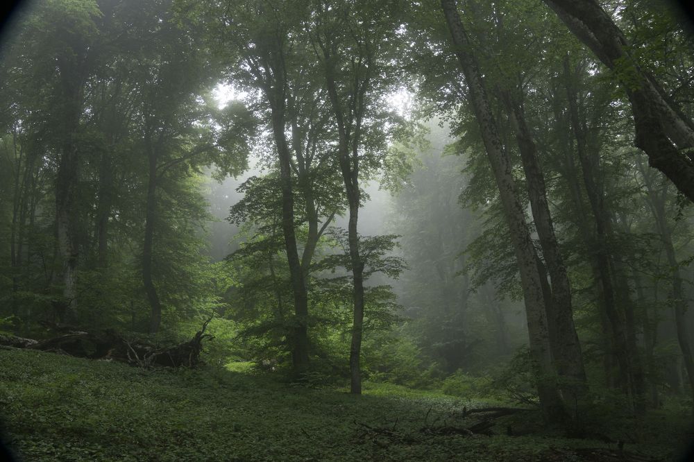 Photograph by света хлевненко