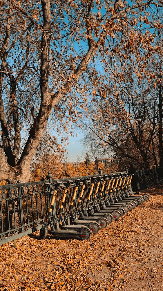 Городской транспорт