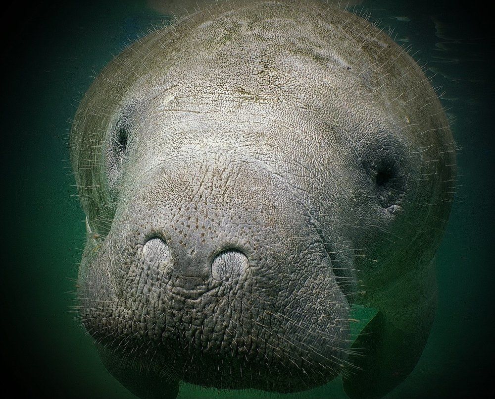 Фотография автора Владимир Чубенко