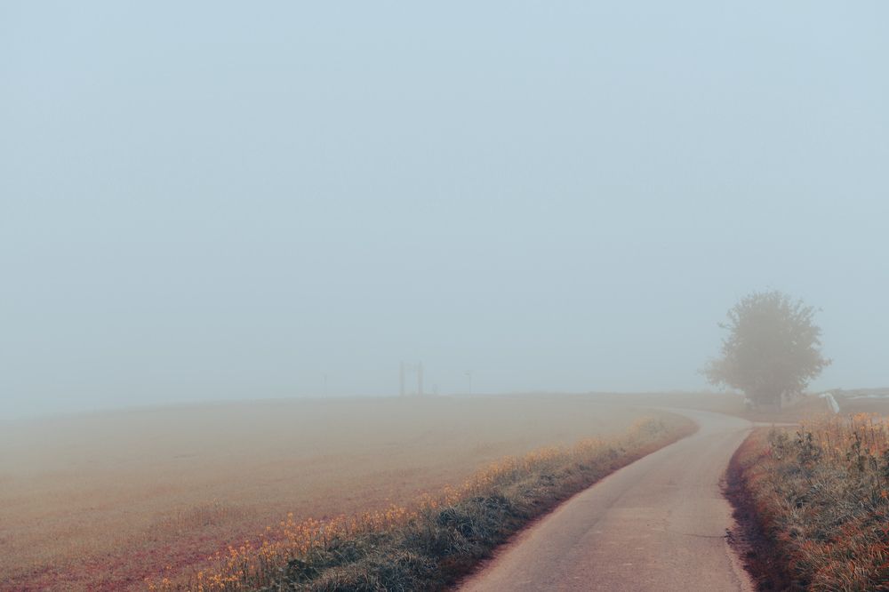 Photograph by Schewzow Lana