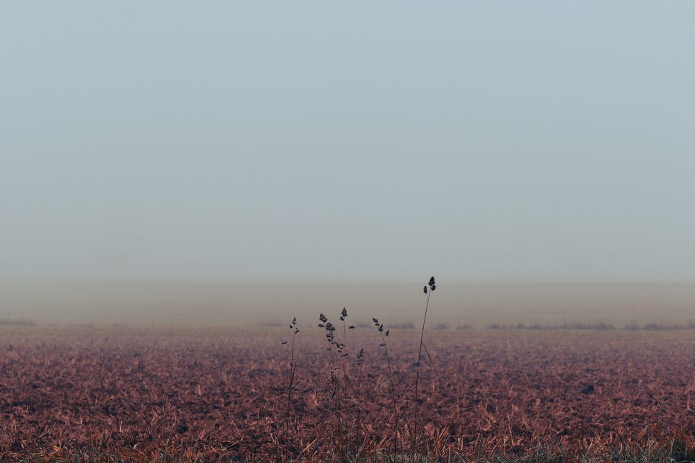 Photograph by Schewzow Lana