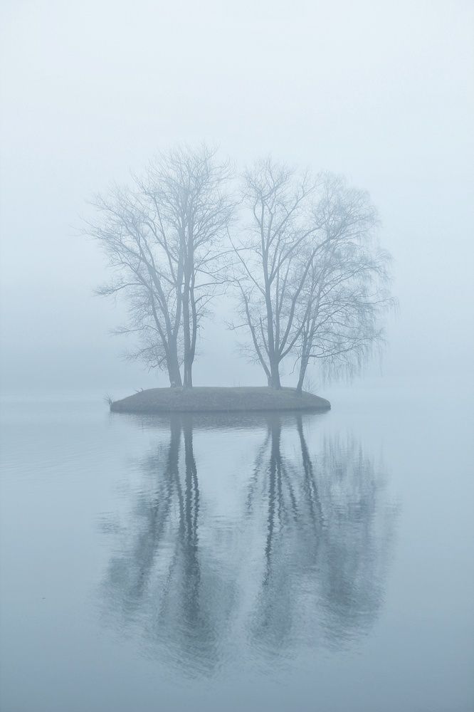 Foggy island