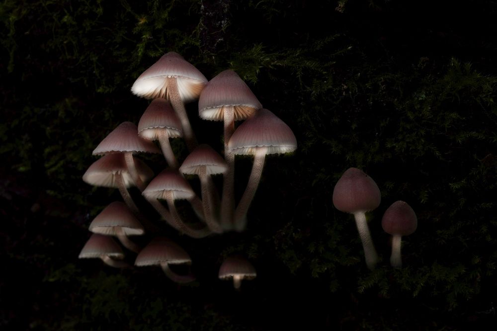 Photograph by Сергей Прокофьев