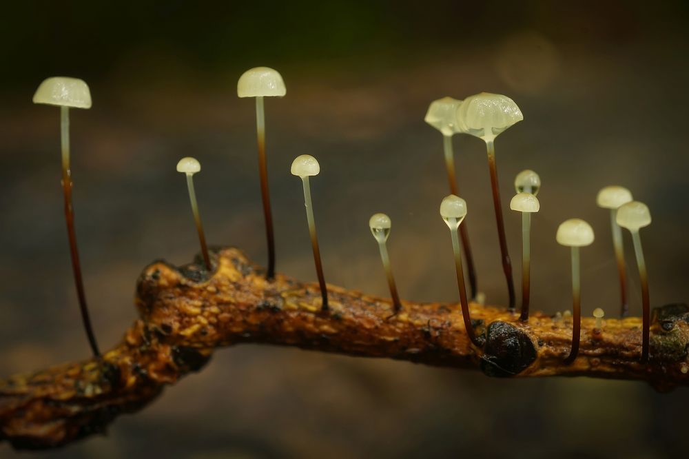 Photograph by Сергей Прокофьев