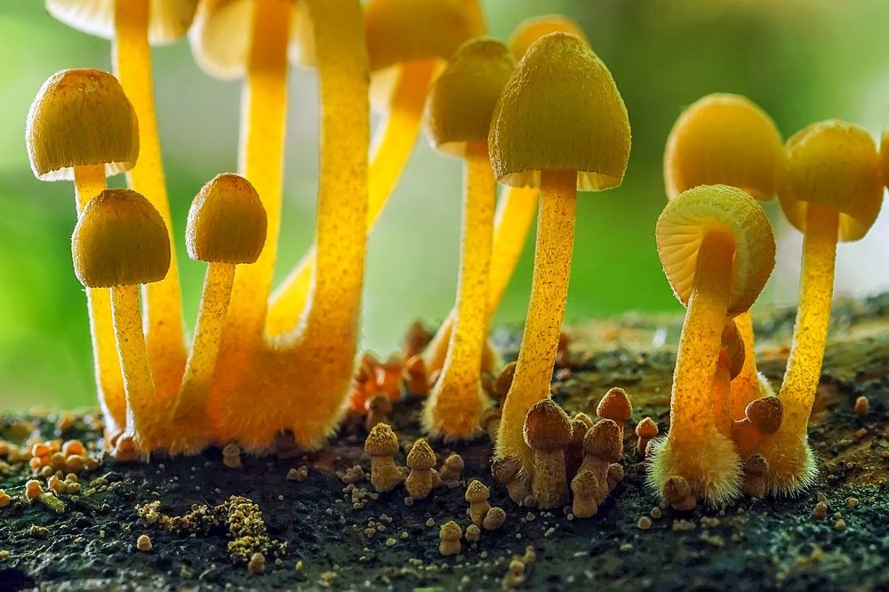 Photograph by Сергей Прокофьев