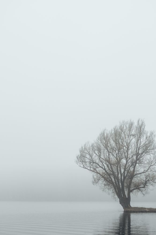 Photograph by Ksenya Loboda