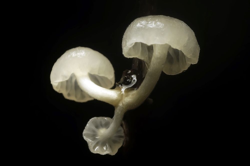 Photograph by Сергей Прокофьев