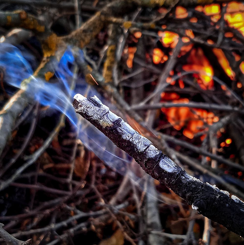 Photograph by Зульфия Точиева